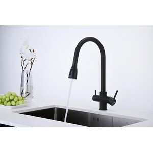 Смеситель для кухни Paulmark Lange с подключением фильтра, антрацит (La214212-401)