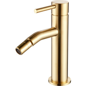 Смеситель для биде AQUAme Siena глянцевое золото (AQM6216GG)