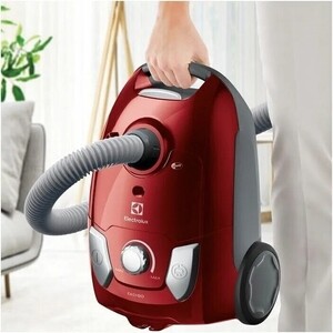 Пылесос с мешком Electrolux EEG43WR