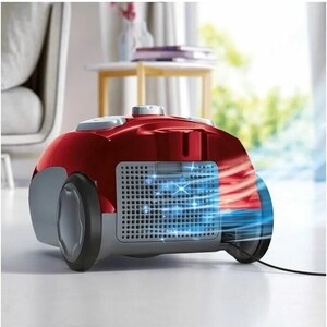 Пылесос с мешком Electrolux EEG43WR