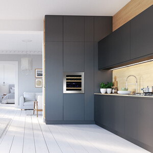 Встараиваемый винный шкаф Dunavox DAVG-25.63DSS.TO