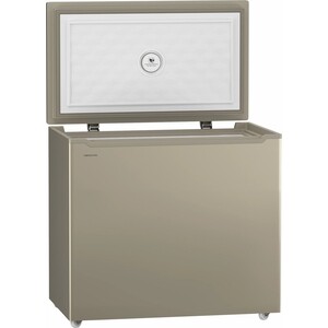 Морозильная камера Hiberg PF 25 NFG