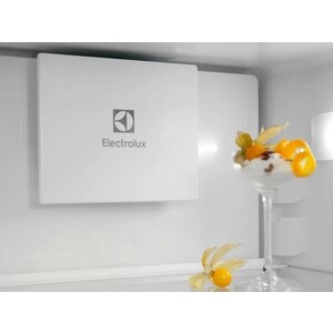 Встраиваемый холодильник Electrolux ENTMUSP8S