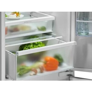 Встраиваемый холодильник Electrolux ENT6ME19S