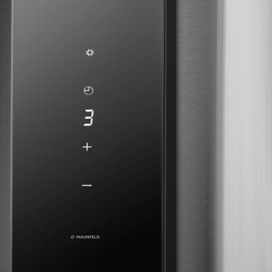 Вытяжка MAUNFELD ALBA 39 Wall нержавеющая сталь