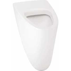 Писсуар Jacob Delafon Odeon (Е1147)