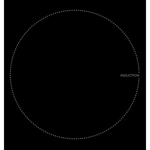 Индукционная варочная панель Lex EVI 320 BL