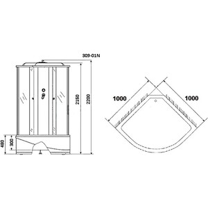 Душевая кабина Niagara NG-309-01N 100х100х220
