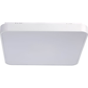 Потолочный светодиодный светильник с пультом DeMarkt 674013001