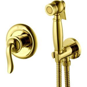 Гигиенический душ Lemark Brava с гигиеническим набором (LM4719G)