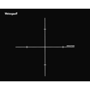Индукционная варочная панель Weissgauff HI 32