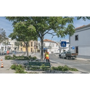 Высоторез Husqvarna 536LiPT5