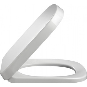 Сиденье для унитаза Jacob Delafon Replay быстросъемное (8319K-00)