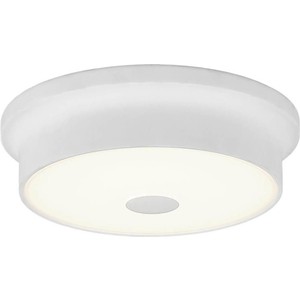 Потолочный светодиодный светильник Citilux CL706210