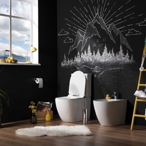 Унитаз-компакт безободковый Aquanet Cetus-C1 с тонким сиденьем микролифт (BL-102N-TPT, BL-102N-TPT)