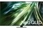 Телевизор Samsung QE65QN90DAUXCE