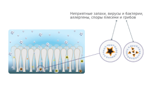 Песень и вирусы